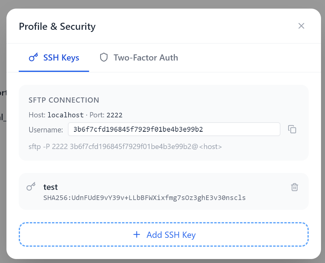 EidoVault SSH key management panel